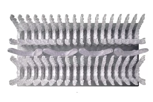 เฝือกเข้าเฝือก