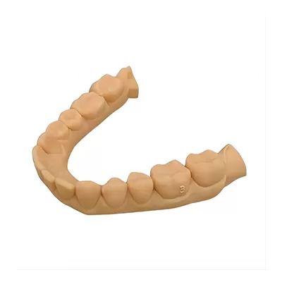 รุ่น XE เรซิ่น