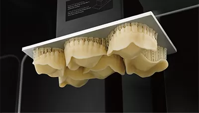 เรซิน A2ทดลอง